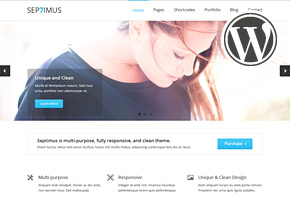 septimus responsive portfoltio wordpress theme